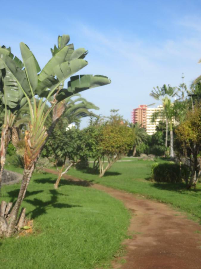 Ferienwohnung Centrico Loft En El Puerto De La Cruz Con Wifi Y Cerca De La Playa Exterior foto